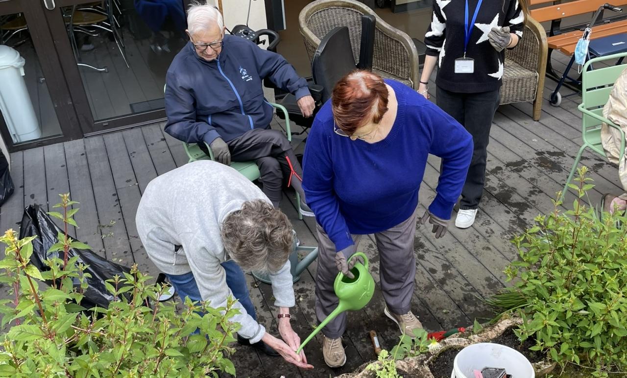 Activites Maison Saint Louis Rennes Jardinage